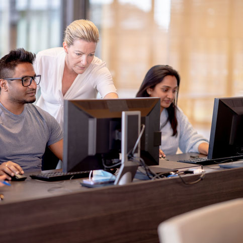 group of people with desktops