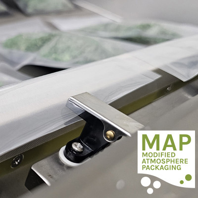 VP545 High Volume Chamber Vacuum Sealer with Gas Flush VacMaster