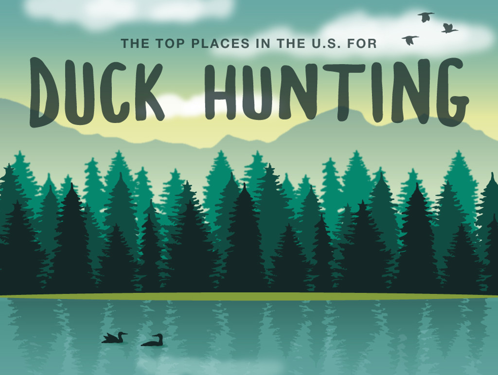 The Top Places in the US for Duck Hunting