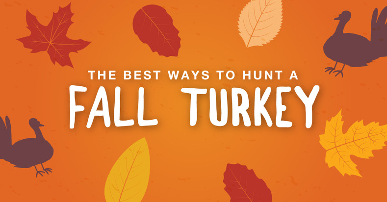 The Best Ways to Hunt a Fall Turkey