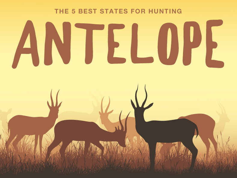 The 5 Best States for Antelope Hunting