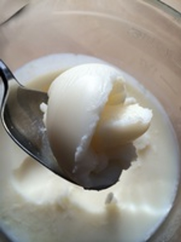 Rendered Goose Fat