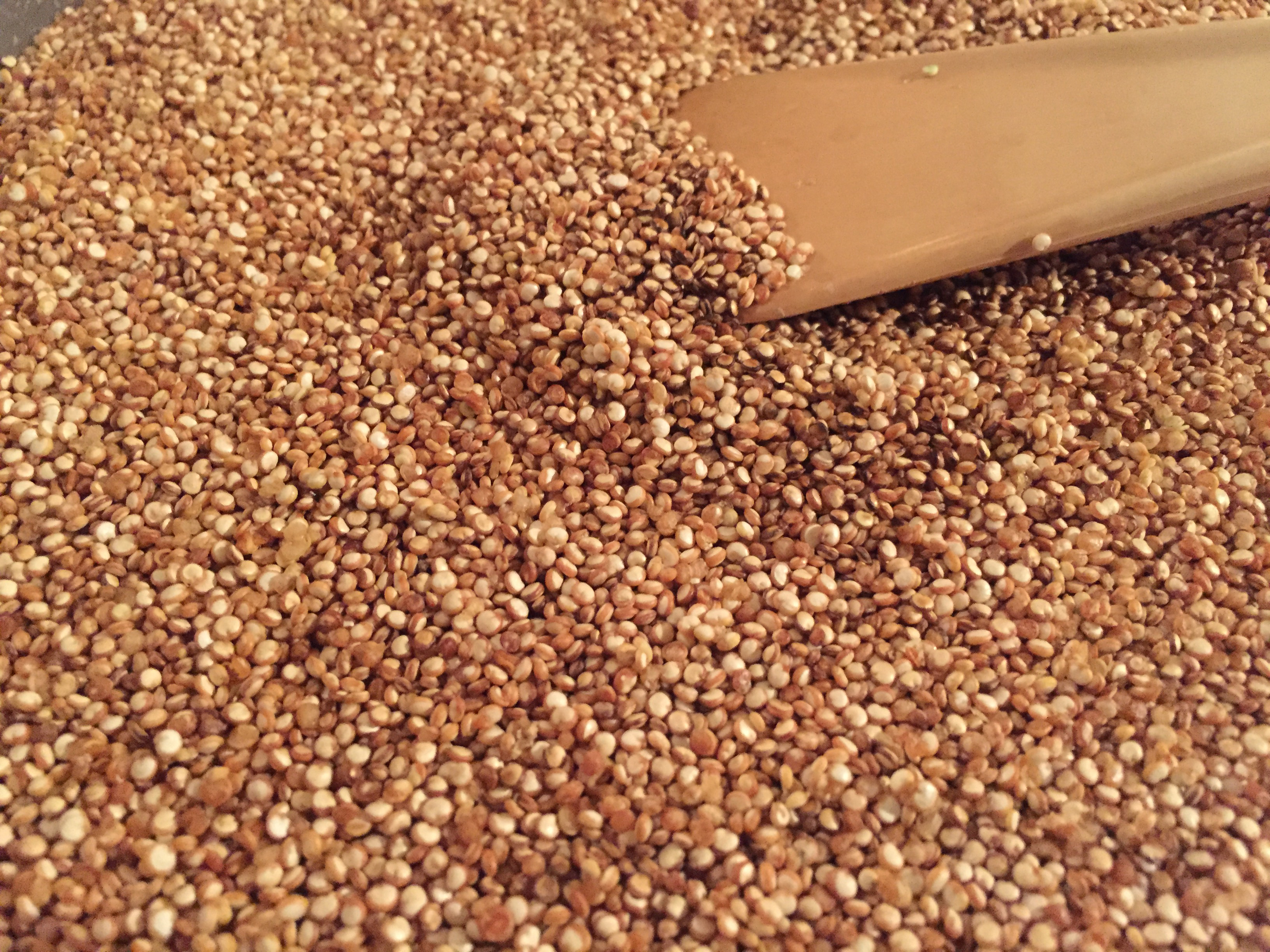 Toasted Quinoa Sous Vide VacMaster