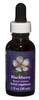 Blackberry 1 oz. Flower Essence