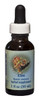 Elm 1 oz. Flower Essence