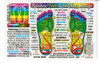 Reflexology Foot Wallet Size Chart