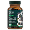 Turkey Tail Liquid Herbal Extract Capsules