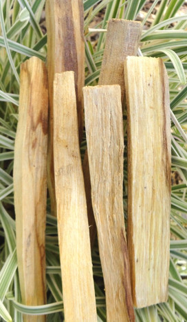 Palo Santo Stick