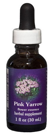 Pink Yarrow Flower Essence 1 oz