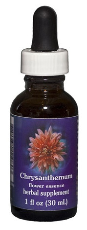 Chrysanthemum 1 oz. Flower Essence