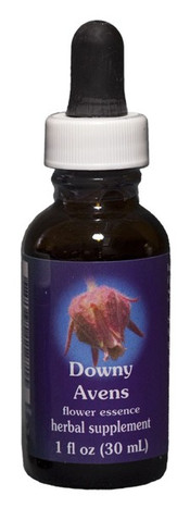 Downy Avens 1 oz. Flower Essence