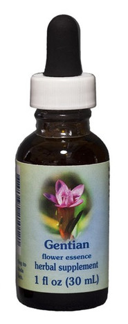 Gentian 1 oz. Flower Essence