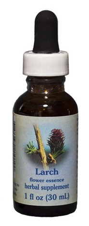 Larch 1 oz. Flower Essence