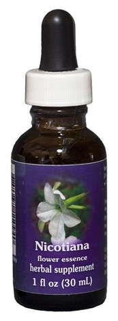 Nicotiana 1 oz. Flower Essence