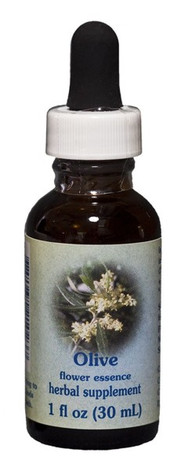 Olive 1 oz. Flower Essence