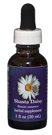 Shasta Daisy 1 oz. Flower Essence