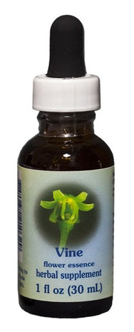 Vine 1 oz. Flower Essence