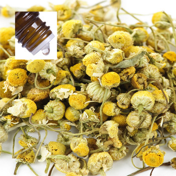 Chamomile Roman France Pure Essential Oil