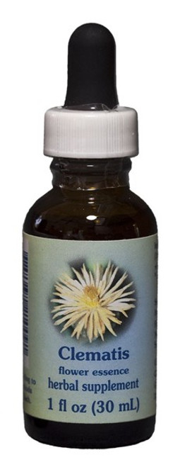 Clematis 1 oz. Flower Essence