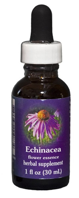 Echinacea 1 oz. Flower Essence