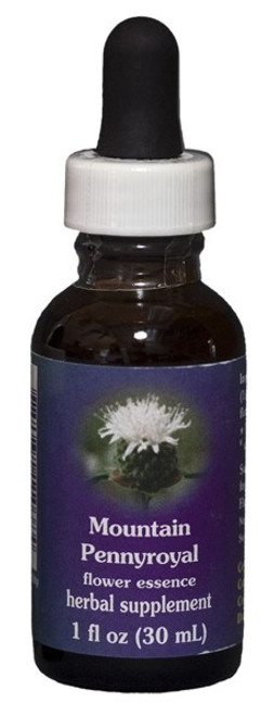 Mountain Pennyroyal 1 oz. Flower Essence