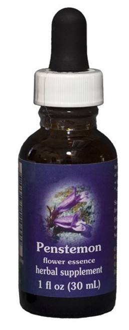 Penstemon 1 oz. Flower Essence