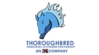 Thoroughbred