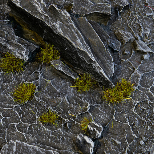 Gamers Grass Tiny Tufts - Dark Moss 2mm
