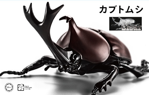 Fujimi Biology Edition Beetle Clear