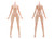 Aoshima Kemopla #KO-01R Human Parts Set Color A