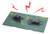 Fujimi Biology Edition Beetle vs Stag Beetle Showdown Set