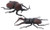 Fujimi Biology Edition Beetle vs Stag Beetle Showdown Set