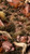 Gamers Grass Tufts - Burned 2mm