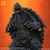 X-Plus 1/700 Gamera 1999