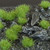 Gamers Grass Tufts - Green 4mm Small