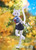 PRE-ORDER Aoshima Kemopla #SP-09R Ruoran with Original Outfit