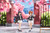 Good Smile Company Cardcaptor Sakura: Clow Card Series Pop Up Parade Sakura Kinomoto Figure
