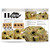 AK Interactive Learning Series 18 Oils In Modeling EN