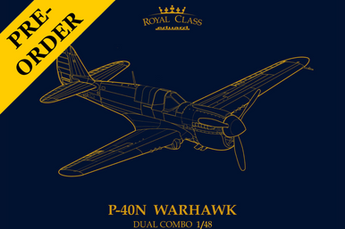 Eduard 1/48 P-40N Warhawk Royal Class Dual Combo Limited Edition