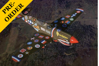 Eduard 1/48 P-40N Warhawk 15,000th