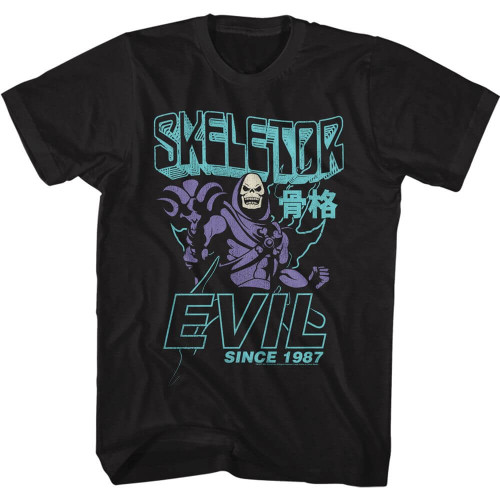 Masters of the Universe Skeletor Evil Since 1987 T-Shirt