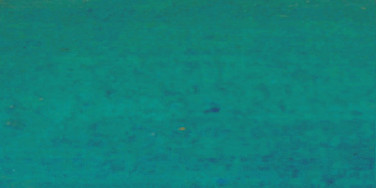 Genuine Azurite Oil Paint - Wallace Seymour Paints