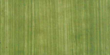 Green Gold Oil Paint - Michael Harding Oil Paint