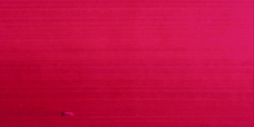 Coral Red Oil Paint - Wallace Seymour - Supreme Paint