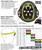 S1 Sizing Chart S1 Sizing Chart
