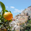 Close-up of a ripe lemon hanging from a tree branch, with a blurred background of the colorful hillside architecture of a Sicilian town under a clear blue sky.