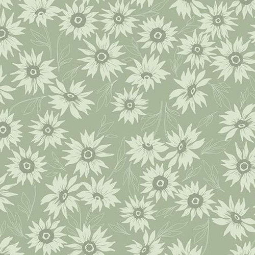 Andover Fabrics Color Me Whispered Marguerite Mist Sage Green cotton fabric with pale daisy flowers on a soft green background