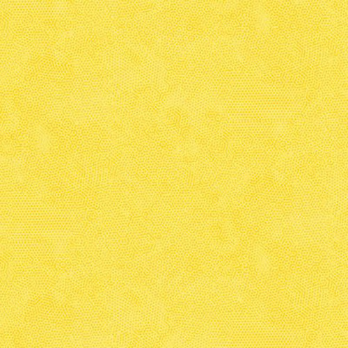 Fabric Sample of Andover Fabrics Dimples Collection in Sunny