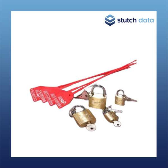 Turtle Case Security Seals 11-675901