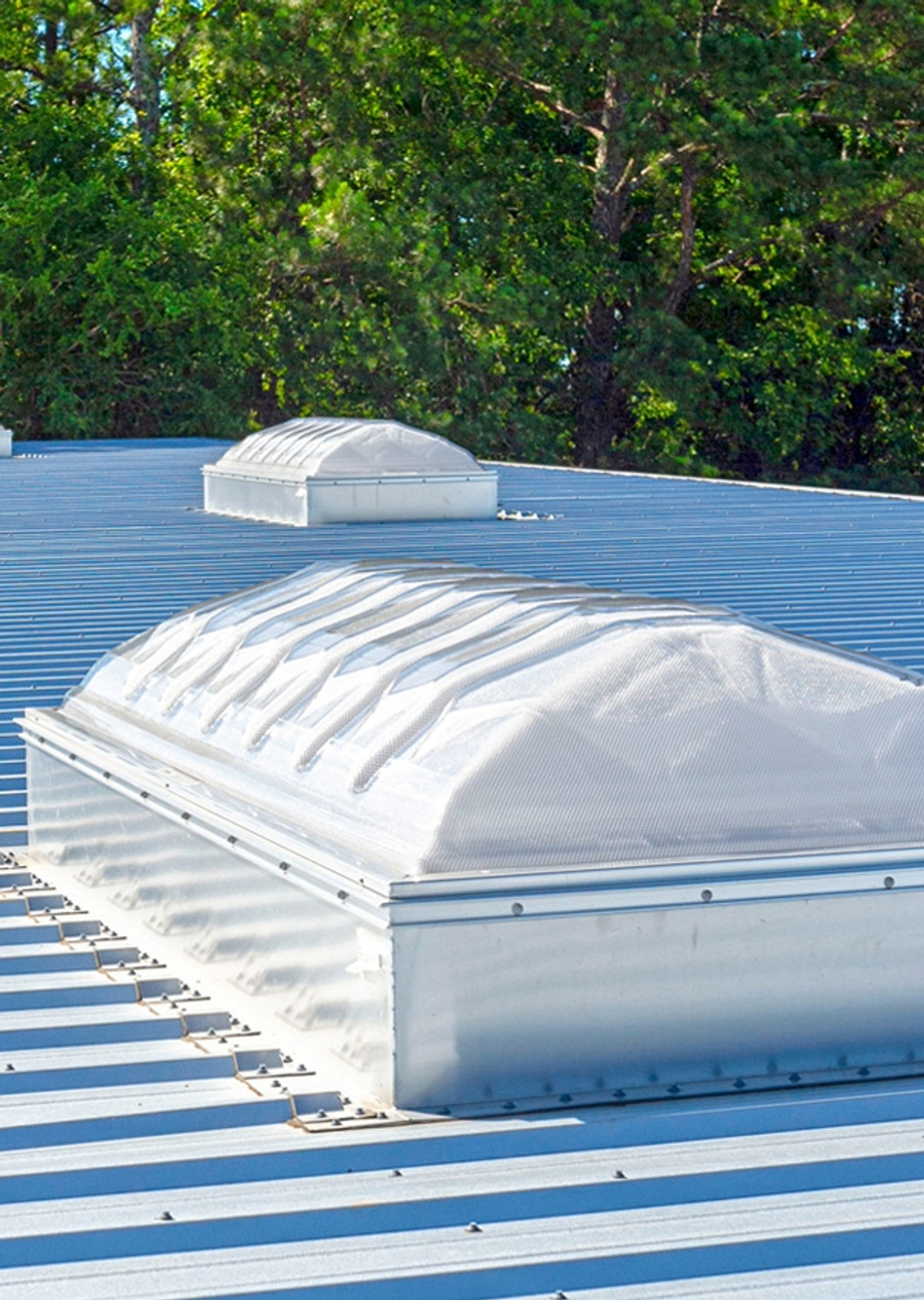 Skylight Dome